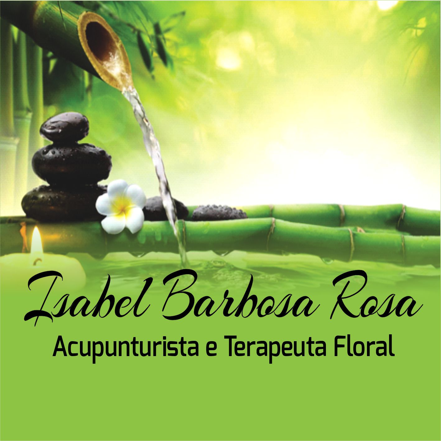 Logo a3