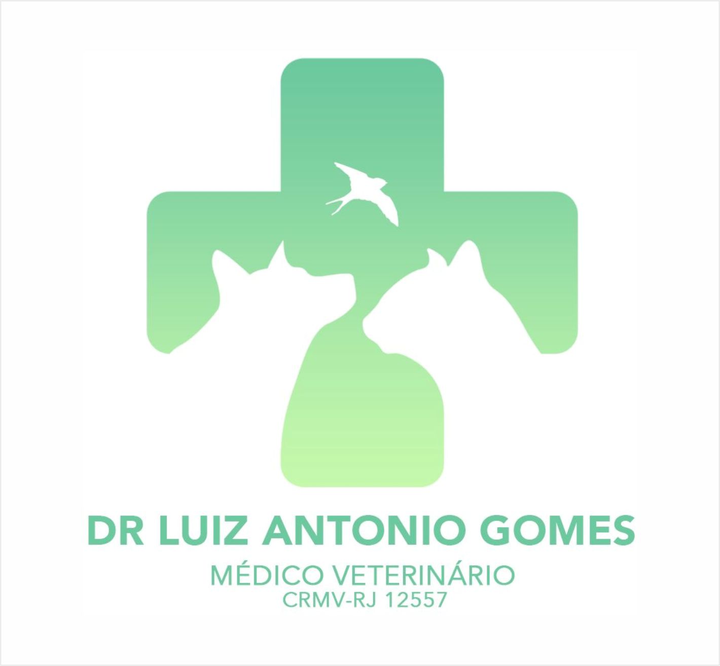 Logo a7